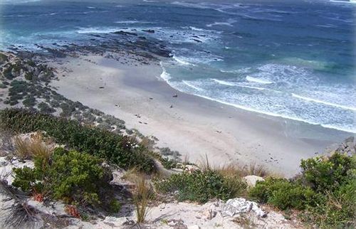 شقة Flour Cask Bay Retreat Haines المظهر الخارجي الصورة